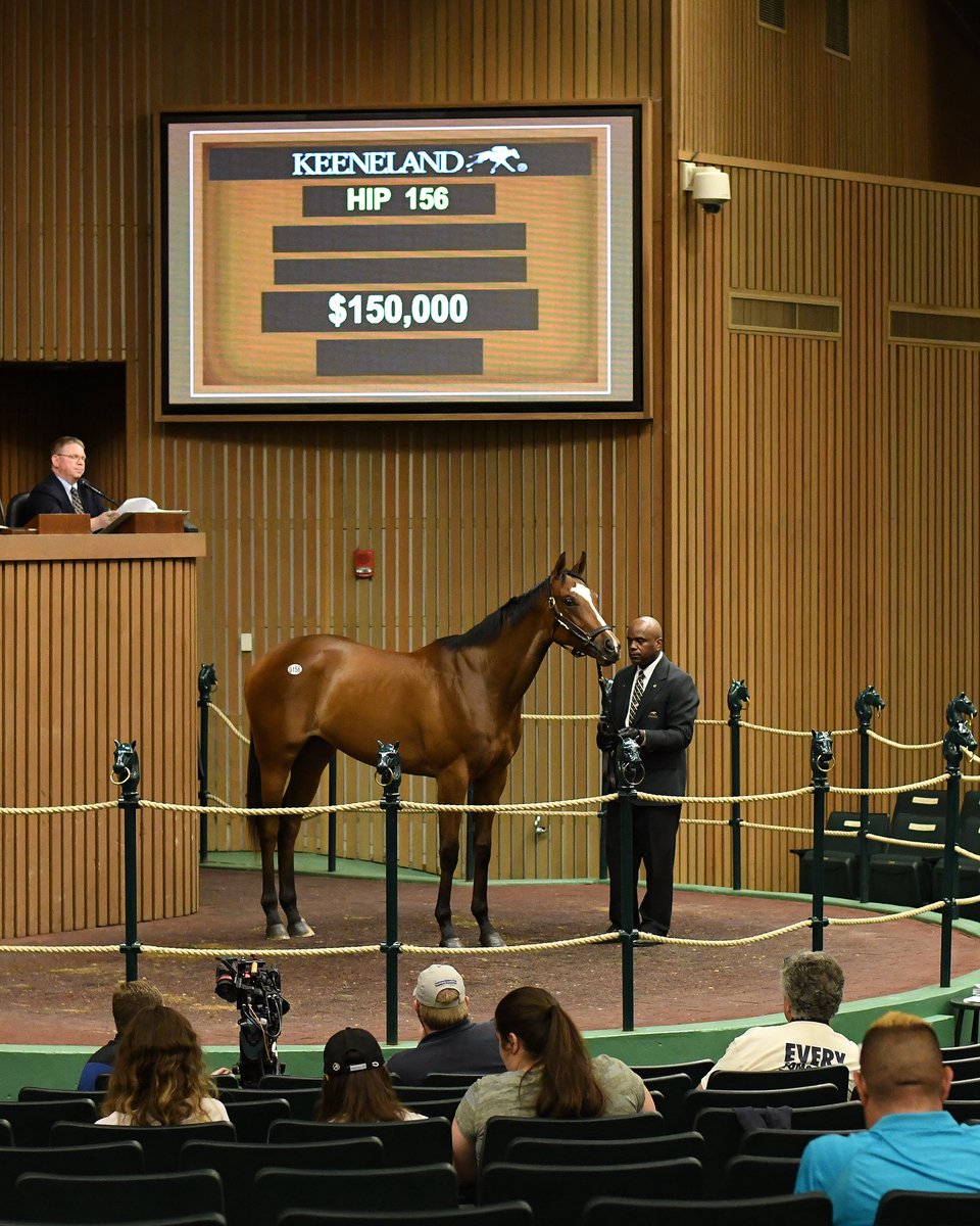 WhitePineTB's tweet photo. Congrats to Tonalist’s PLAYTONE and her connections. Second in the Key Cents Stakes for 2yo fillies at Aqueduct today! #WhitePineGrad https://t.co/oZPokavIP5