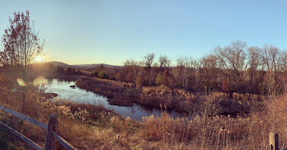 RobandTreymusic's tweet image. Enjoying scenes like this in beautiful VA today! Continuing the #RootsandBranches Tour w/ @brothersgibson tonight at @bchordbrewing in Round Hill, VA! If you’re near there, swing by at 8 PM!
