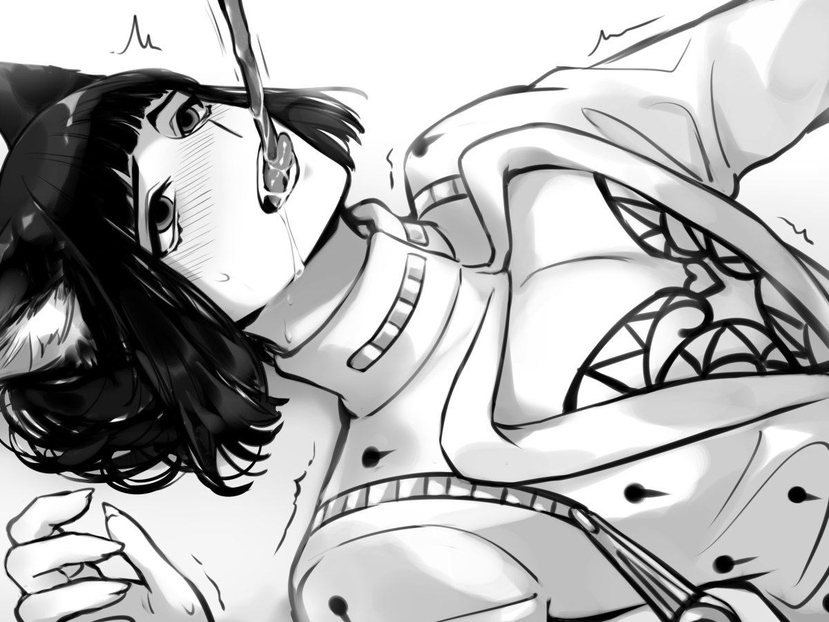 *キャットニップ&amp;マタタビ