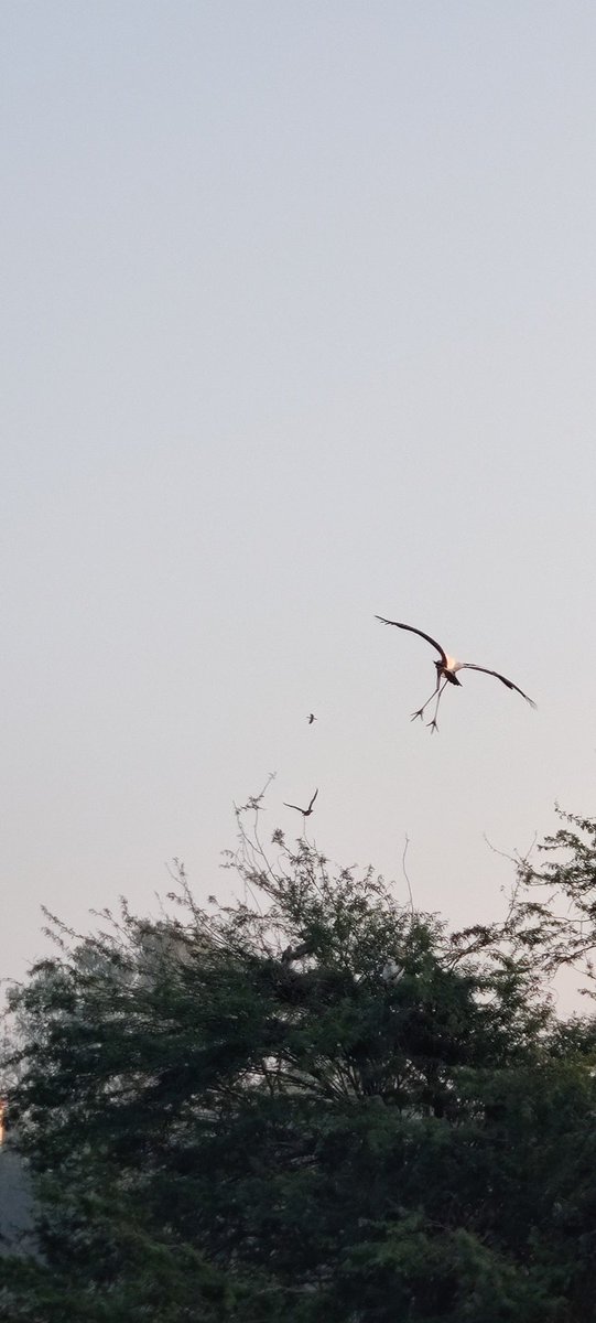 nature1_love's tweet photo. You have three choices in life:
give in,
give up, or
give it your all....
#MorningBeautiful #photography #PictureOfTheDay #Nature #ClearAsReal #PhotoOfTheDay #photographer #PhotographyIsArt #oneplus7proquiz https://t.co/Bj1t1HdULl