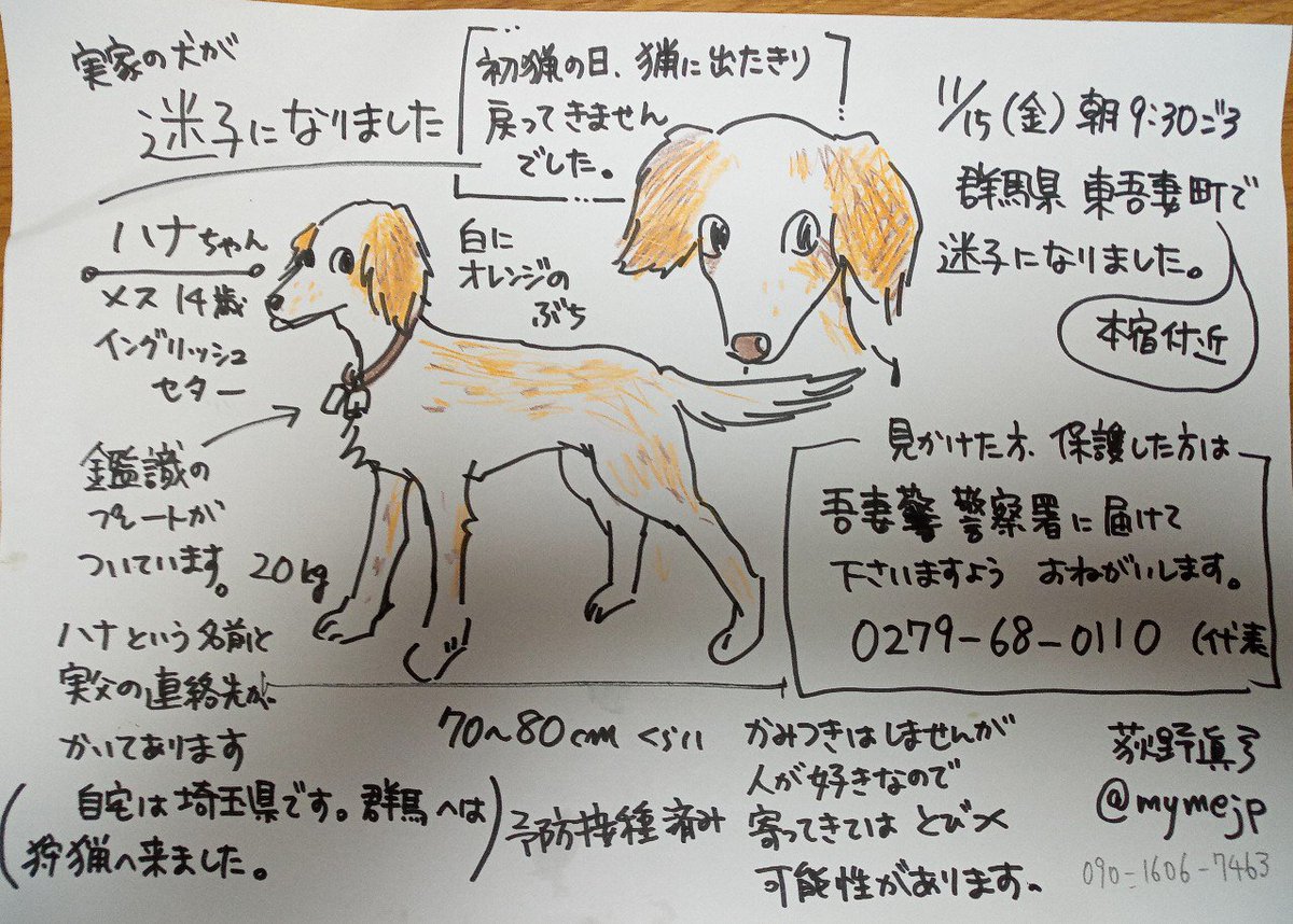 【迷い犬】実家の猟犬です。11月15日、群馬県 #東吾妻町 で狩猟から戻ってきませんでした。イングリッシュセター14歳メス、名前はハナです。見かけた方、保護された方は吾妻警察署に届けて下さいますようお願い致します。RTありがとうございます。17日現在まだ見つかっておりません。 