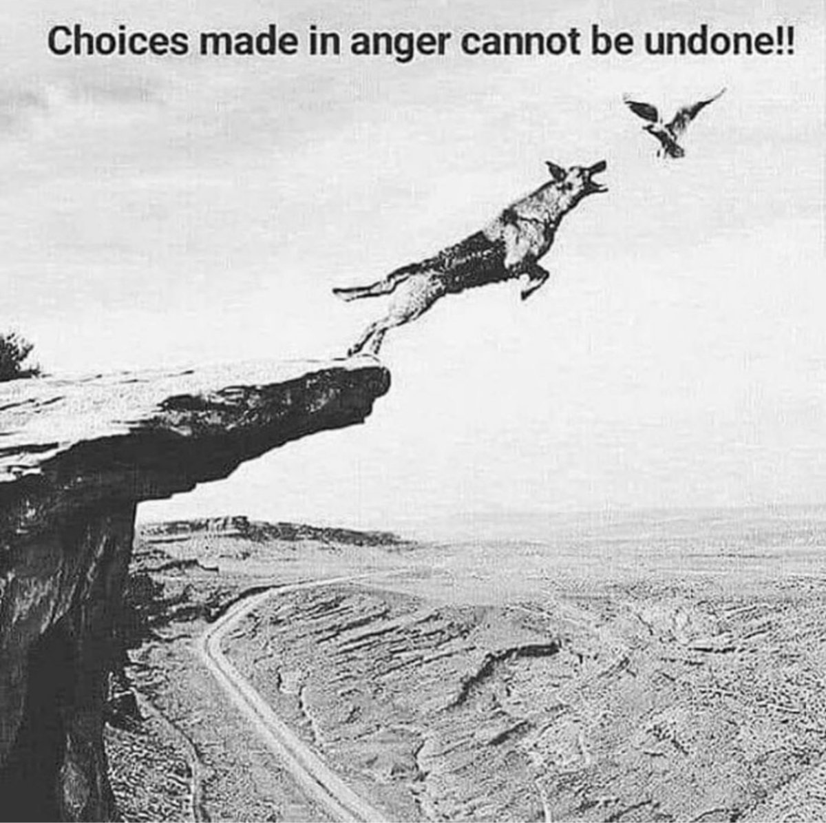 ChaseProStrong's tweet image. 