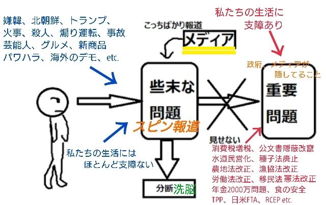ピースケ No Twitter 沢尻エリカ スピン報道 プロパガンダ 3s政策 ショックドクトリン テレビは洗脳兵器 不正選挙 B層 この国は異常だ