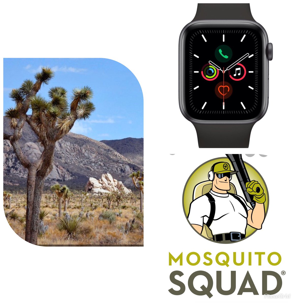 ashwestfae's tweet photo. Apple Watch, trip to Joshua Tree, CA, full year treatment with Mosquito Squad - these prizes and many more can be yours at A Night for Excellence on November 22nd!  https://t.co/6VHaGafaSx for tickets! https://t.co/4GhHnA0ZOj