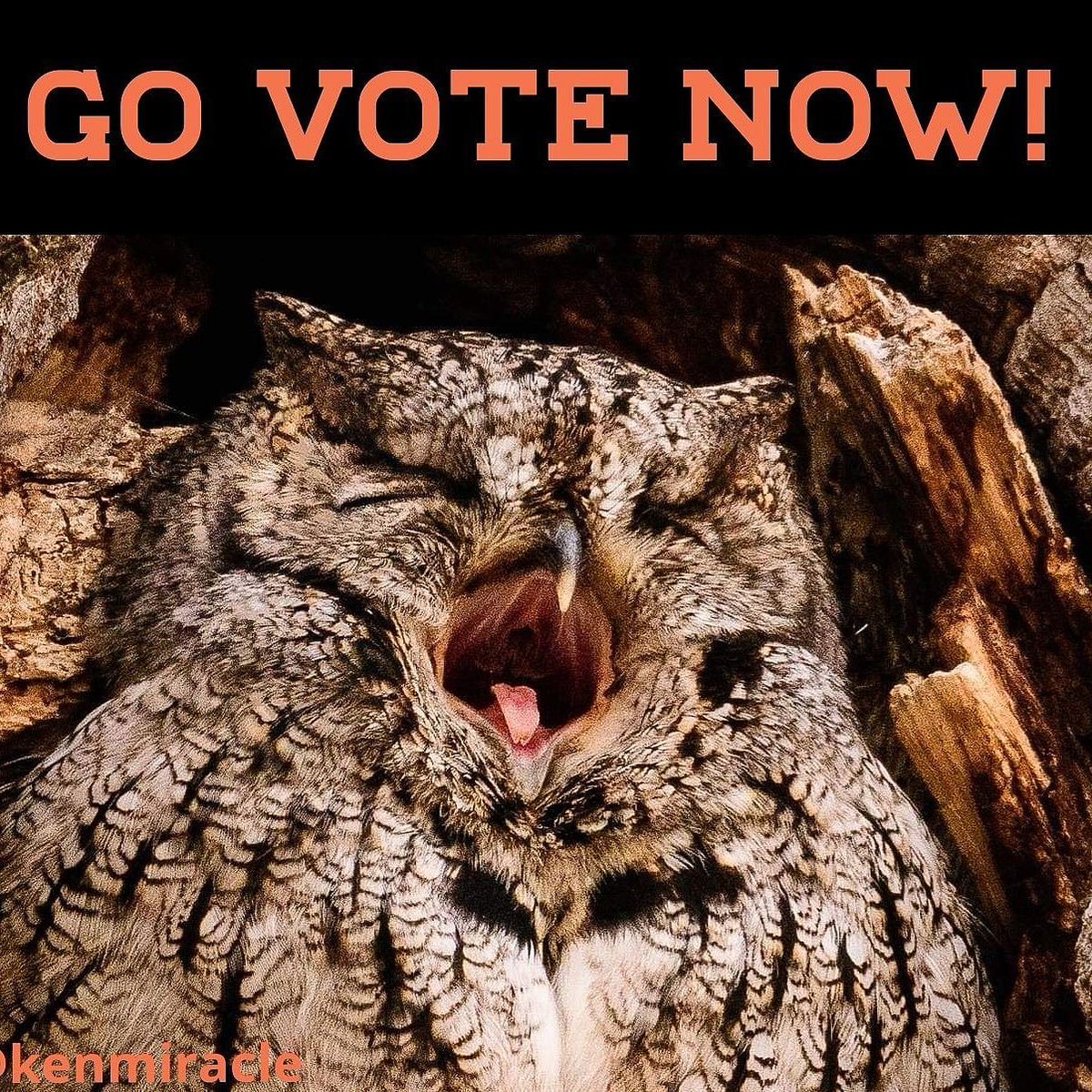 miracleguppy's tweet photo. 💥LAST HOUR LOUISIANA PEEPS GEAUX VOTE💥
✔🗳⏳ VOTE till 8:00 TODAY Nov 16 ⏳✔🗳
🌟 JOHN BEL EDWARDS 🌟 LORI CALLAIS 🌟
#PostcardsToVoters #PutLouisianaFirst #VoteForTheTeacher https://t.co/H7IwVKgids