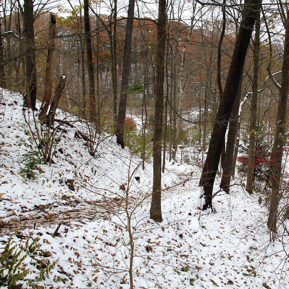 Ready for a winter hike? Grab your boots, jacket and mitts, and join us every Sunday at 2 p.m. for a guided "Back to Nature Hike."

The location of these FREE hikes rotates. This Sunday, meet at the Nature Centre for Cootes Paradise's North Shore.

rbg.ca/hike