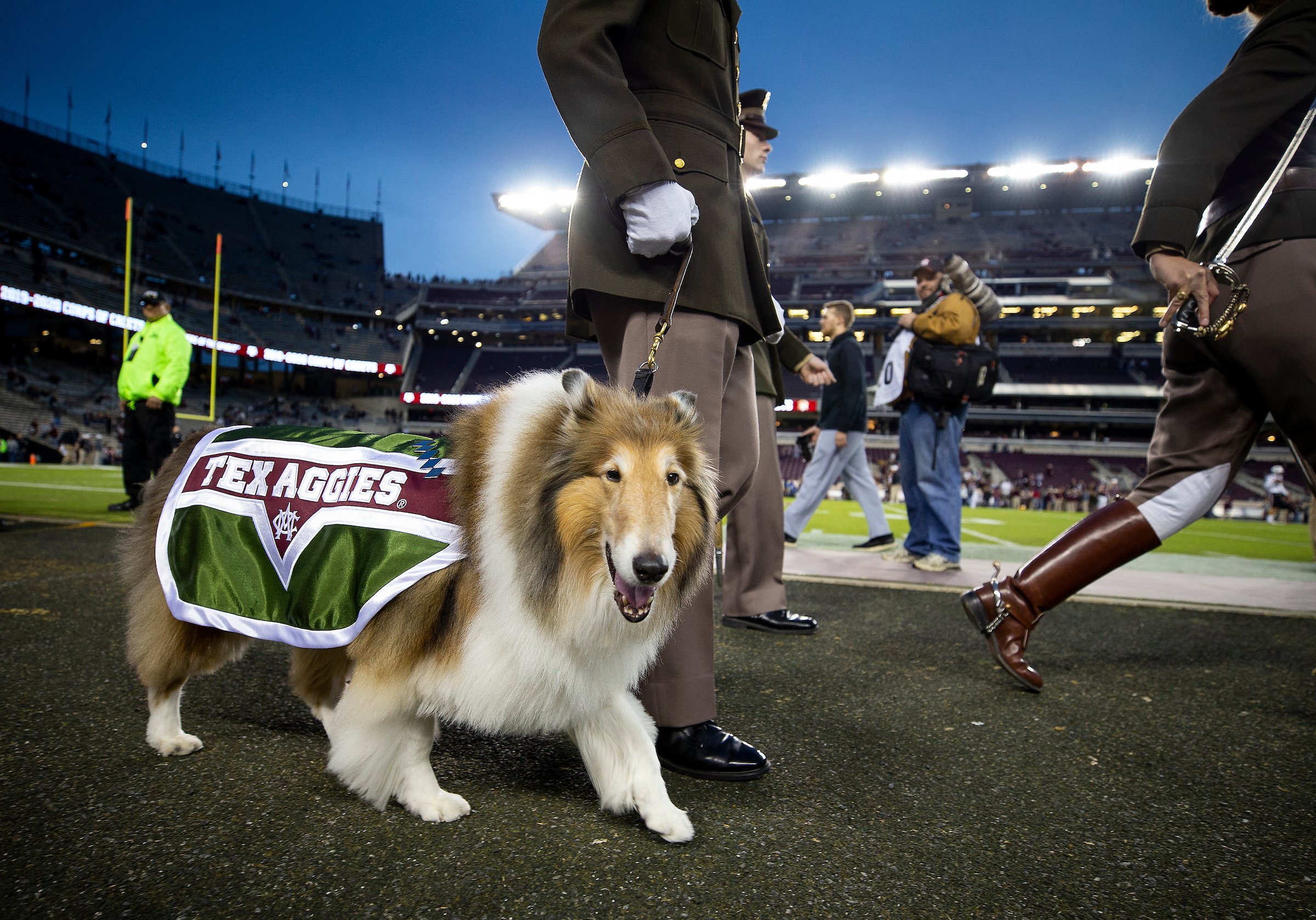 Texas A&M Plush Reveille with Blanket