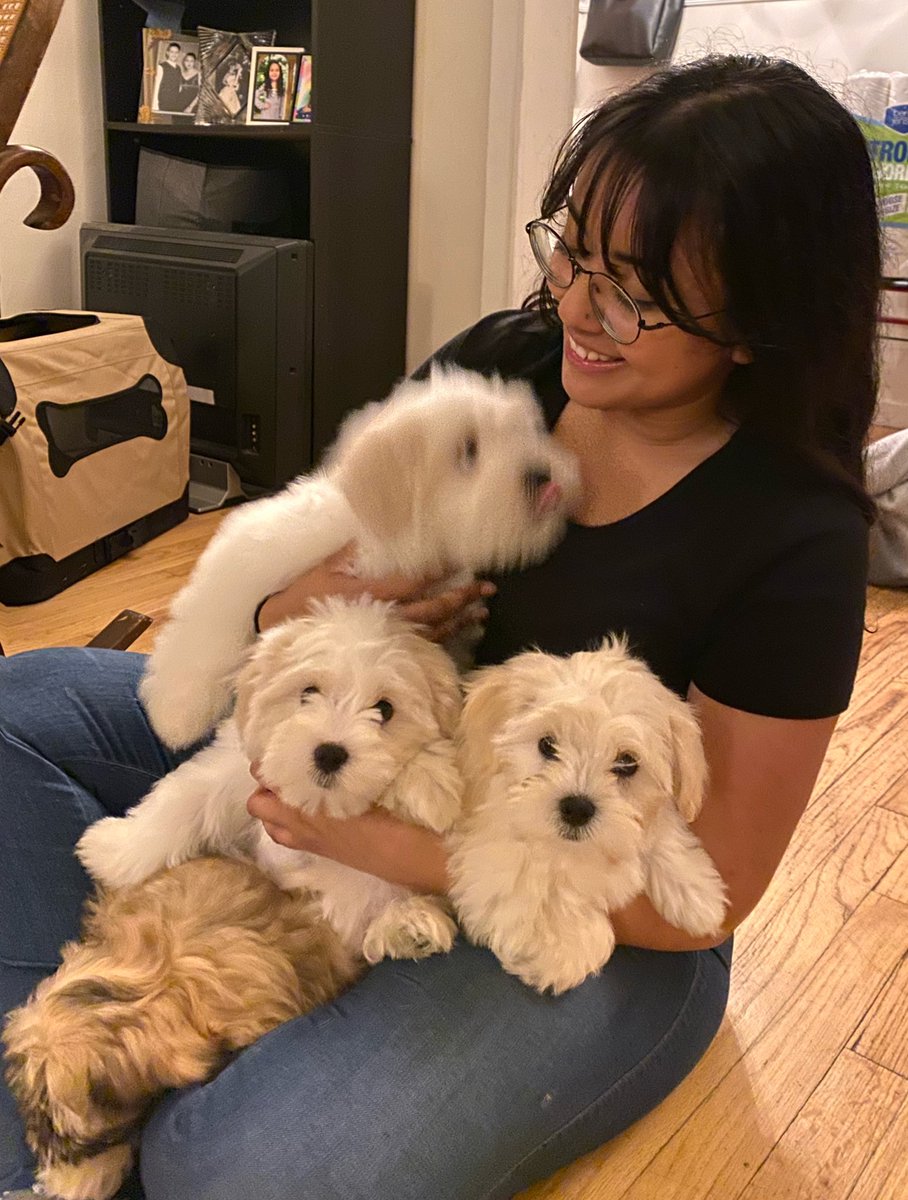 reignaeyelo's tweet photo. @worldreads Puppy heaven 💕 https://t.co/wbbjyNErwd