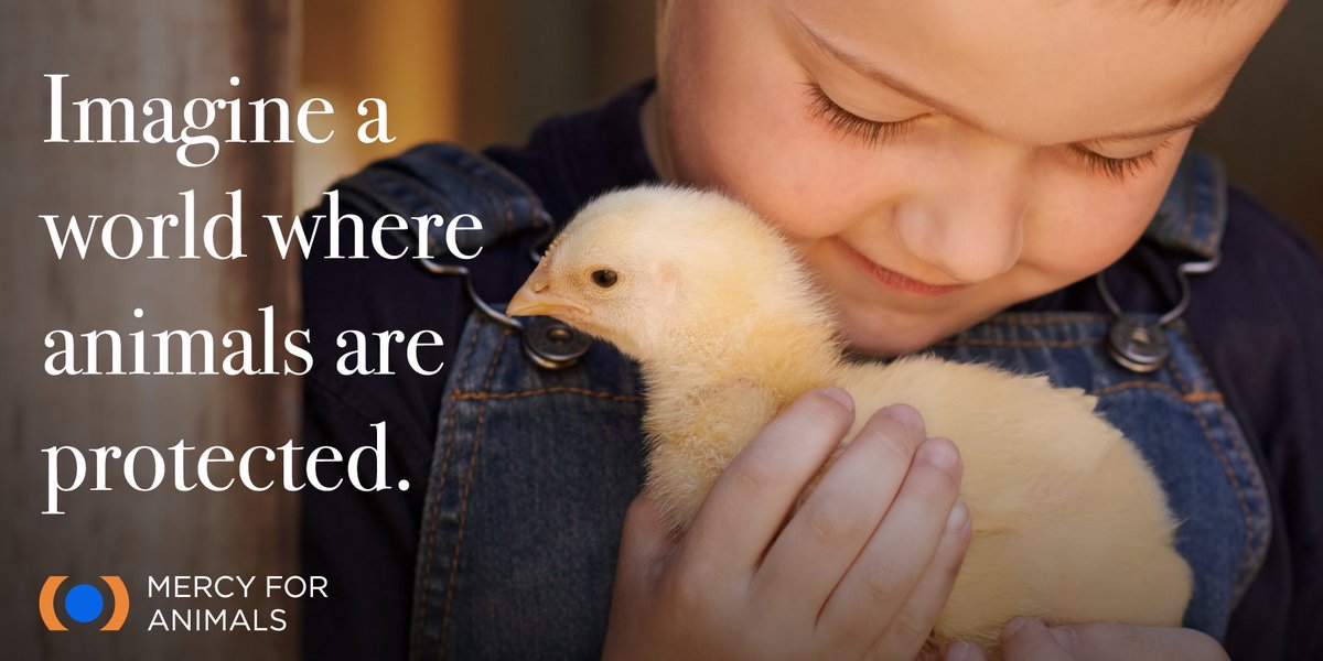 Just imagine. ❤️