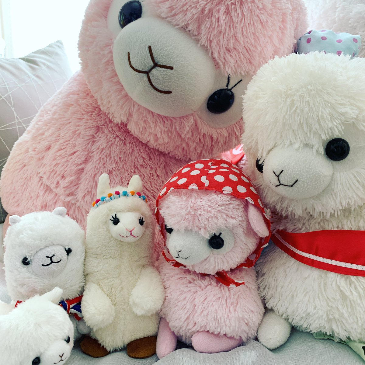 アルパカシティでかくれんぼ على تويتر 新しいお友達 マリンくん アルパカシティでかくれんぼ アルパカッソ ぬい撮り アミュキャラぬい撮り