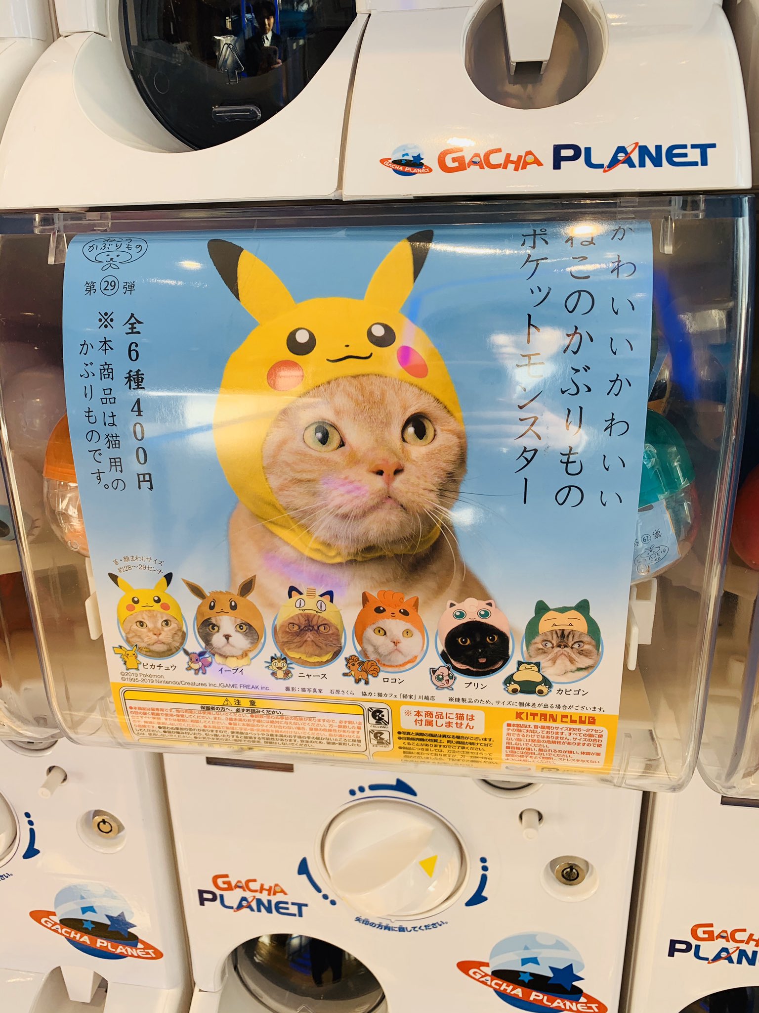 エディオンなんば本店 公式 15日待ちに待ったポケモンソード シールドが発売されましたね 6階 ガチャプラネットにはネコのかぶりものポケモンバージョンが ポケモン ねこのかぶりもの ガチャガチャ エディオンなんば本店 エディオンなんば本店 公式 15日待ちに待ったポケモンソード シールドが発売されましたね 6階 ガチャプラネットにはネコのかぶりものポケモンバージョンが ポケモン ねこのかぶりもの ガチャガチャ エディオンなんば本店