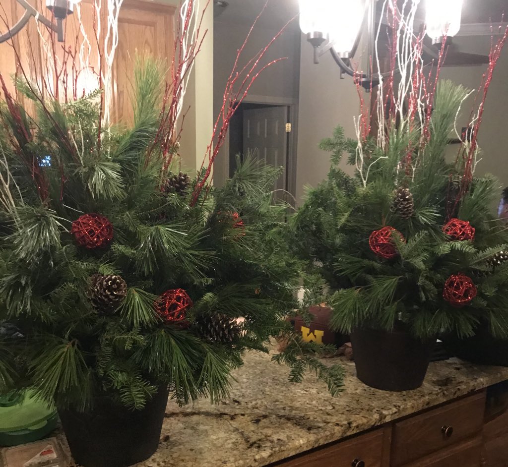 My daughter and I had fun tonight creating our Christmas porch pots. Thank you @EnglishGardens ! 🎄🤶🏻🎅🏼