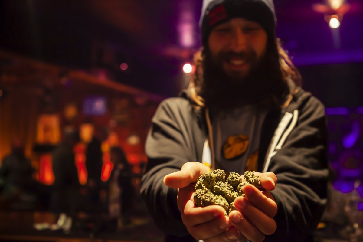 MattBesser's tweet photo. I believe I was told this hybrid strain was "dog-shit cherry pie"?
What strain are you smoking when you watch #PotHumor tonight? 
[VOD links at https://t.co/D2Wgyol5w1] https://t.co/6mEDQEyQLZ