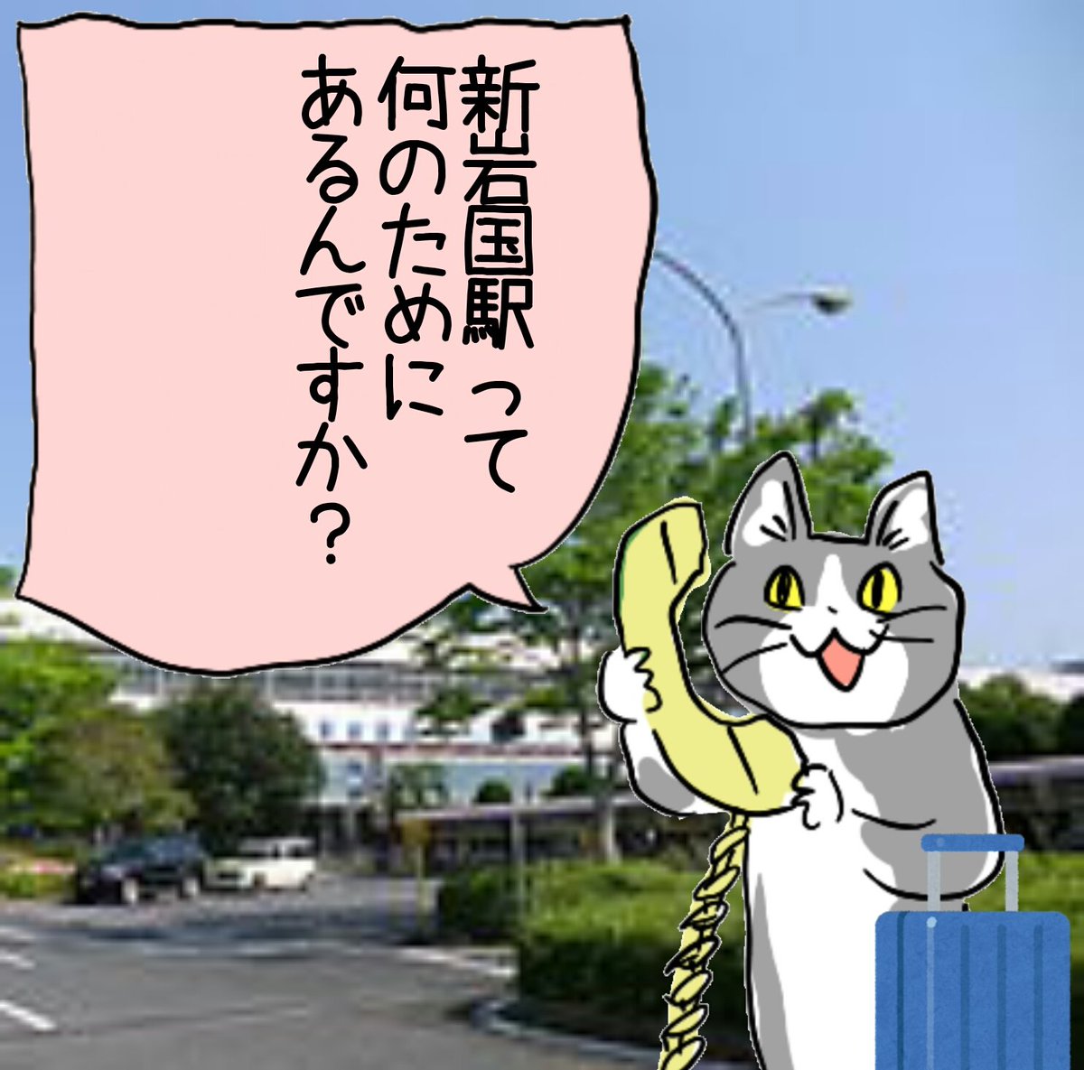 どうして #電話猫 #現場猫 