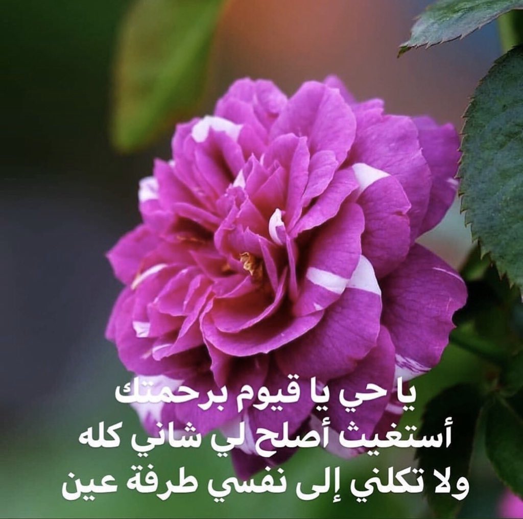 ‏الحمد لله على كل حال tweet media