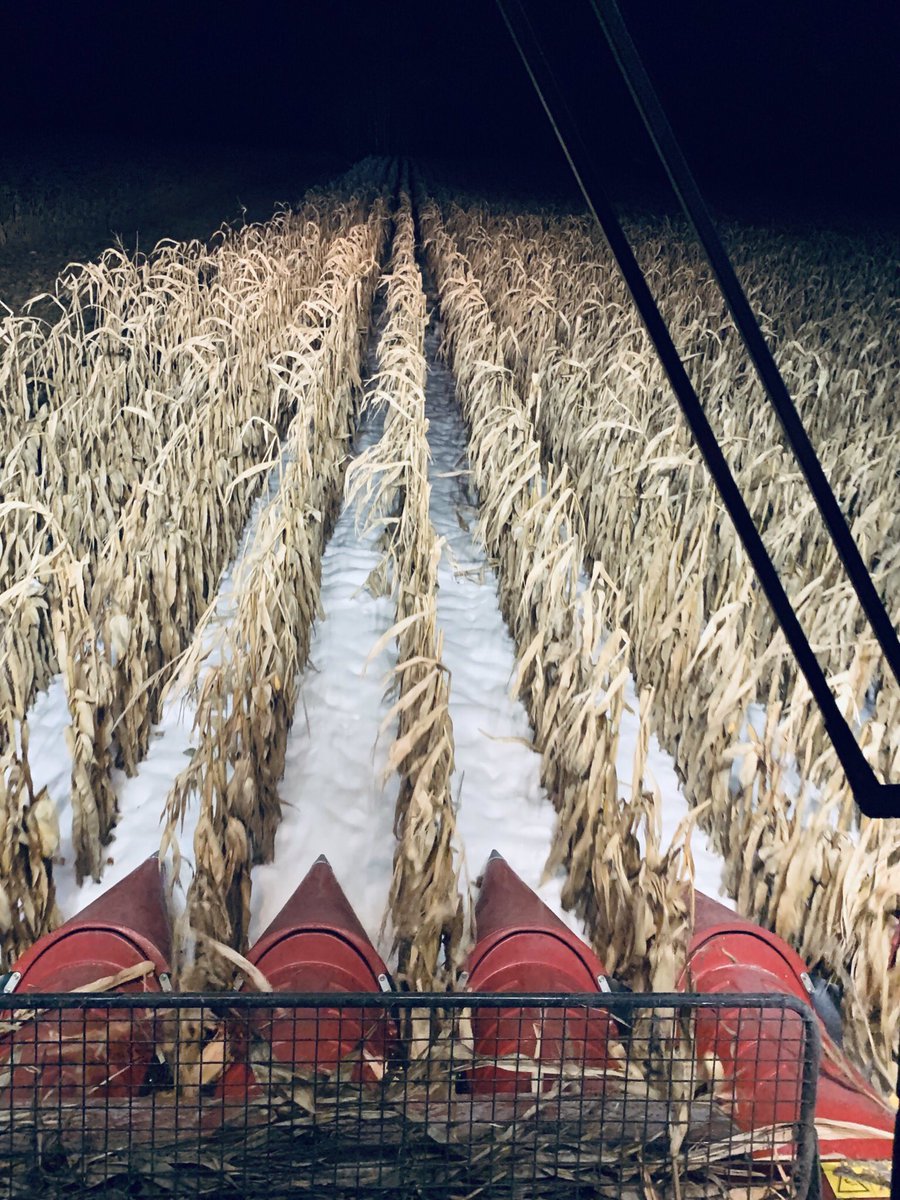 To our customers whose views look like this 👇 this weekend.... we are rooting for you! Work safely everyone! 🌽🚜 #Harvest19 #EastCdnAg #OntAg