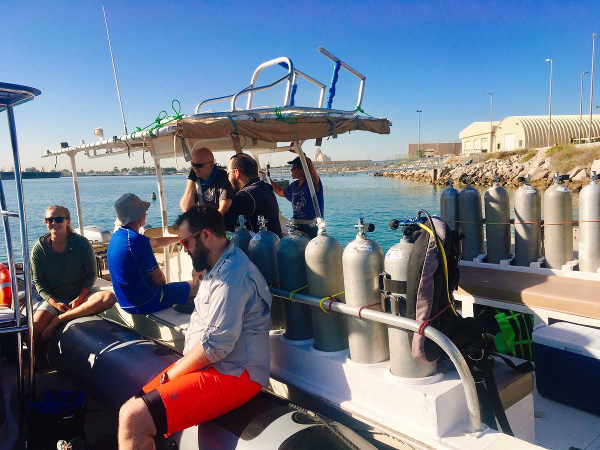 joey_squishfish's tweet photo. Let the fun &amp; games begin. #Bioblitz with @NYUAbuDhabi aiming to repeat surveys for conspicuous and #cryptobenthic #reeffishes, #coral, and everything marine in between from UAE to Oman. This comes after repeated #coralbleaching events in the Arabian Gulf due to #ClimateChange. https://t.co/cvtlgDfwh1
