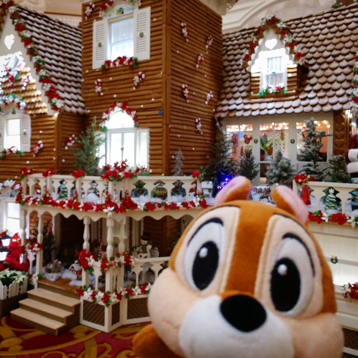 DWEnthusiast's tweet photo. I know it looks yummy, but no eating the Grand Floridian gingerbread house, Chip! 😋 #ChipAdventures 🐿️ #WaltDisneyWorld https://t.co/SA9DNsOsB4