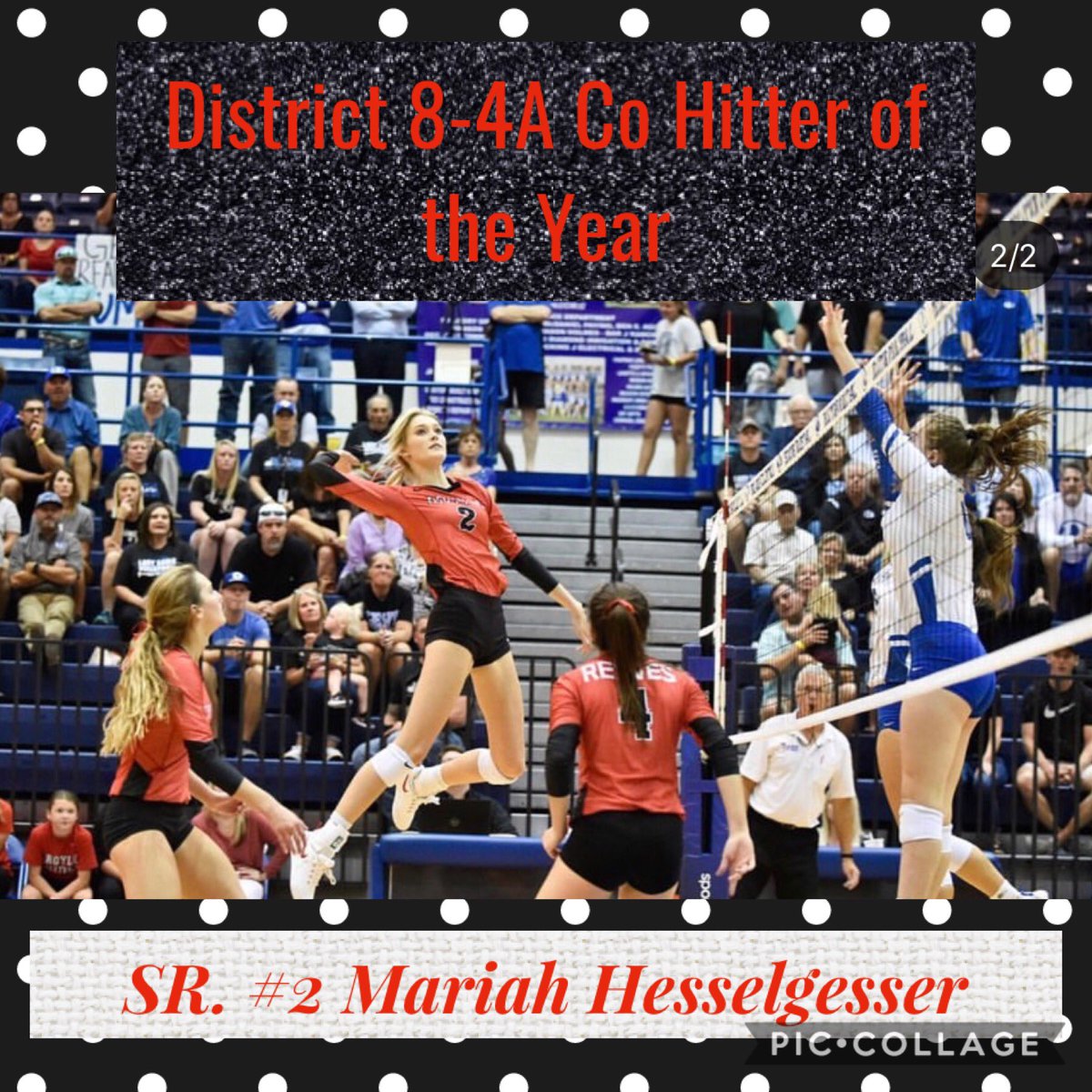 ArgyleVball's tweet photo. She soars through the air and will certainly soar in life as well! Congrats to our senior @mariah_hess77 at being named Co-Hitter of the Year! https://t.co/C5S3Gejm8l