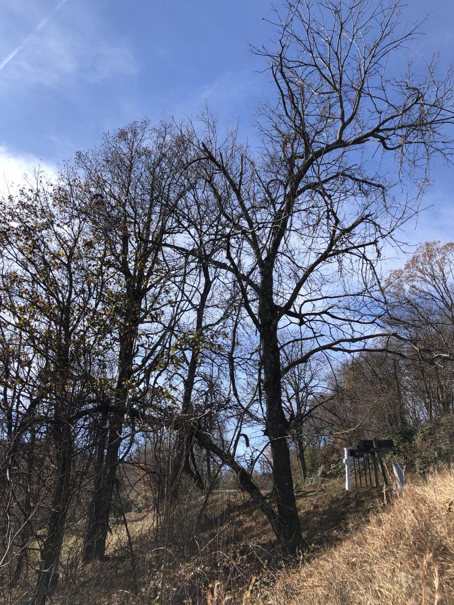 garygunderson's tweet image. Inland See garygunderson.net/2019/11/16/inl…