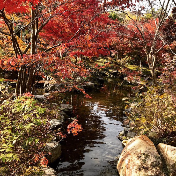 Twitterのコスプレ画像25