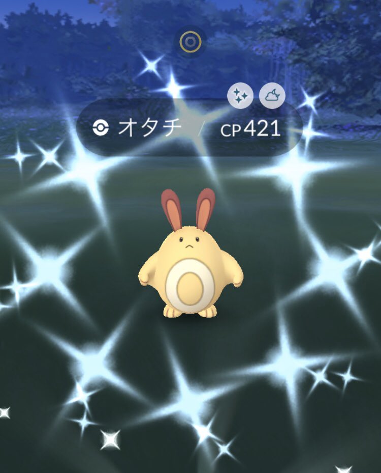 カブトの巣 カブトの巣