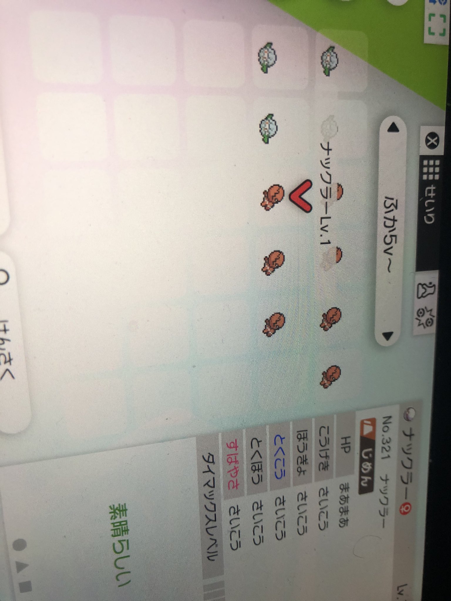 Maple ポケモン剣盾 6qvr6v7lp3lghpn Twitter
