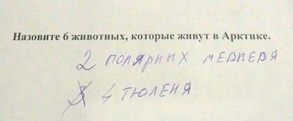 drunktwi's tweet image. Л - логика