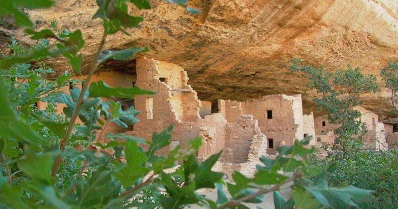 Day Hiking Trails tweet media