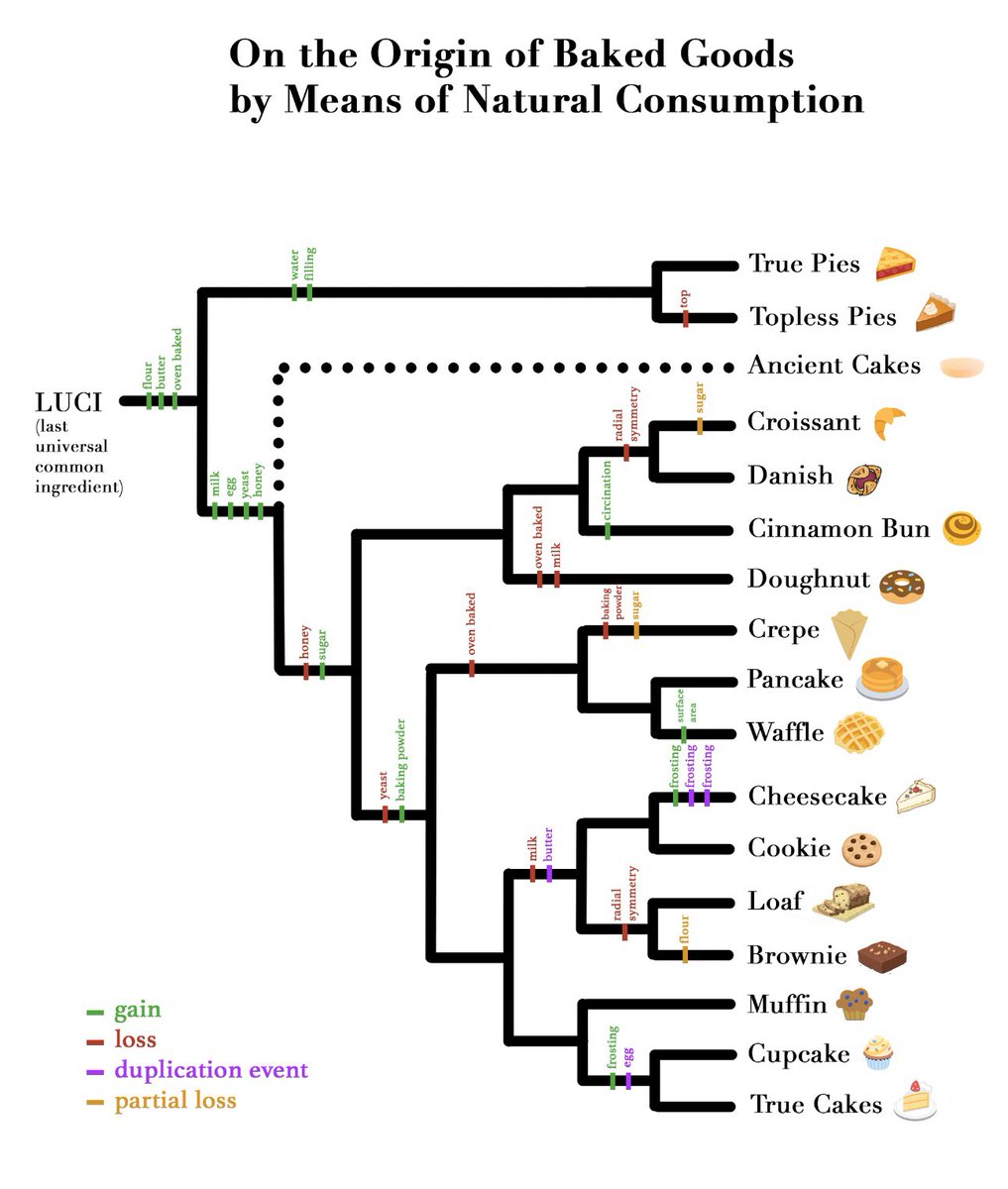Jawad Sakarchi (@sakarchi_) on Twitter photo Dunno if this will pass review but here’s the most parsimonious phylogeny of baked goods I made for some reason. Dunno if this will pass review but here’s the most parsimonious phylogeny of baked goods I made for some reason.