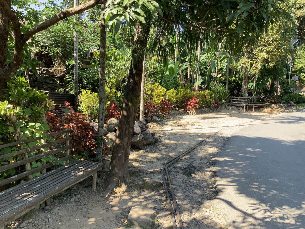 This is a village called MAWLYNNONG,80 km from Shillong in Meghalaya. Its the cleanest village in Asia.
No garbage,all concrete streets,fully open defacation free.
Approximately 1000 people stay here.
Thay are so particular about cleanliness.
Happy to be there yesterday.