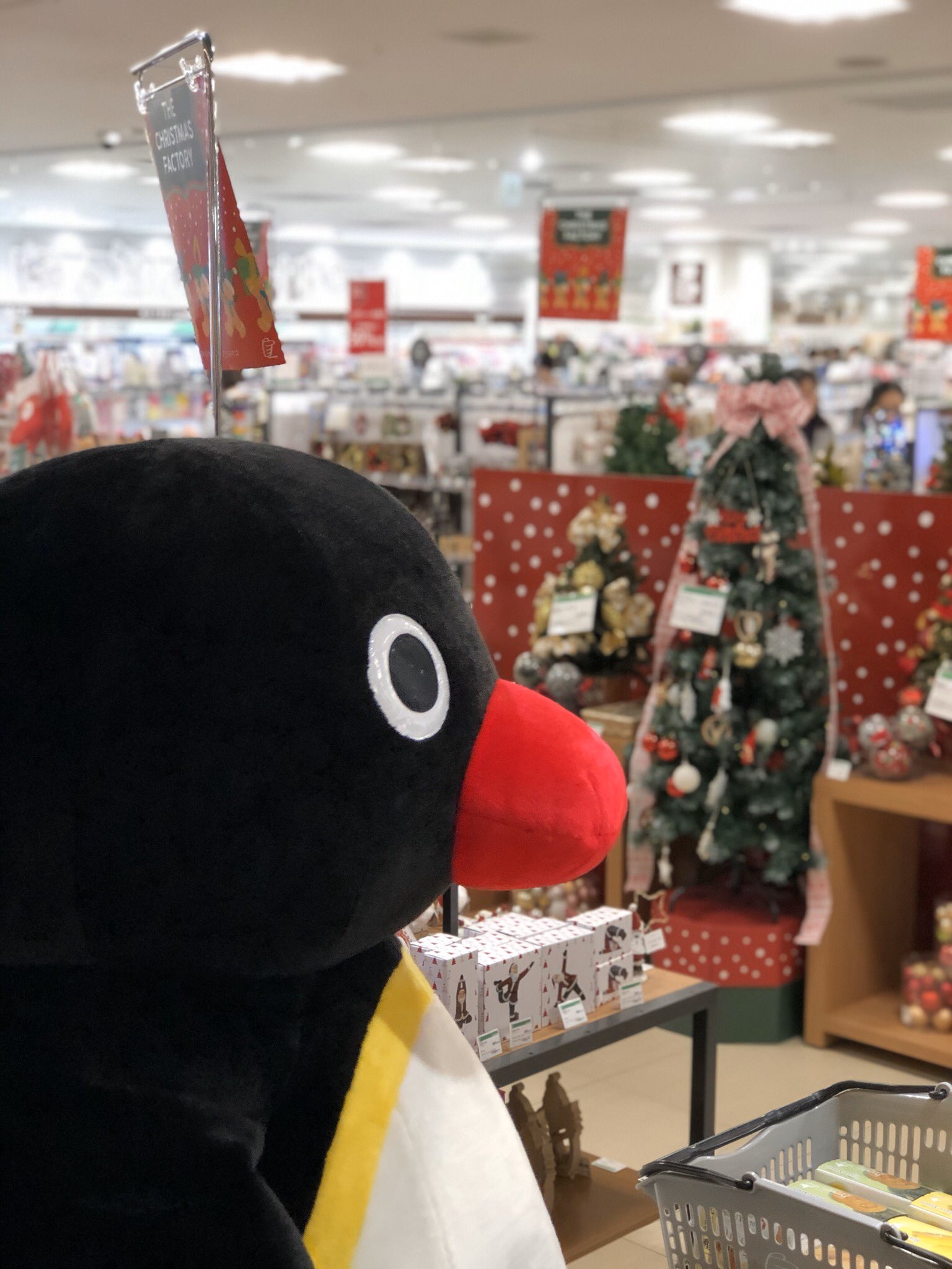 町田rice Suicaペンギンのさかざきちはるさんサイン会現場の5m先にまさかのピングーあらわる さかざきちはる Suicaペンギン ピングー ペリエ千葉 T Co Xyumjuz3ao Twitter
