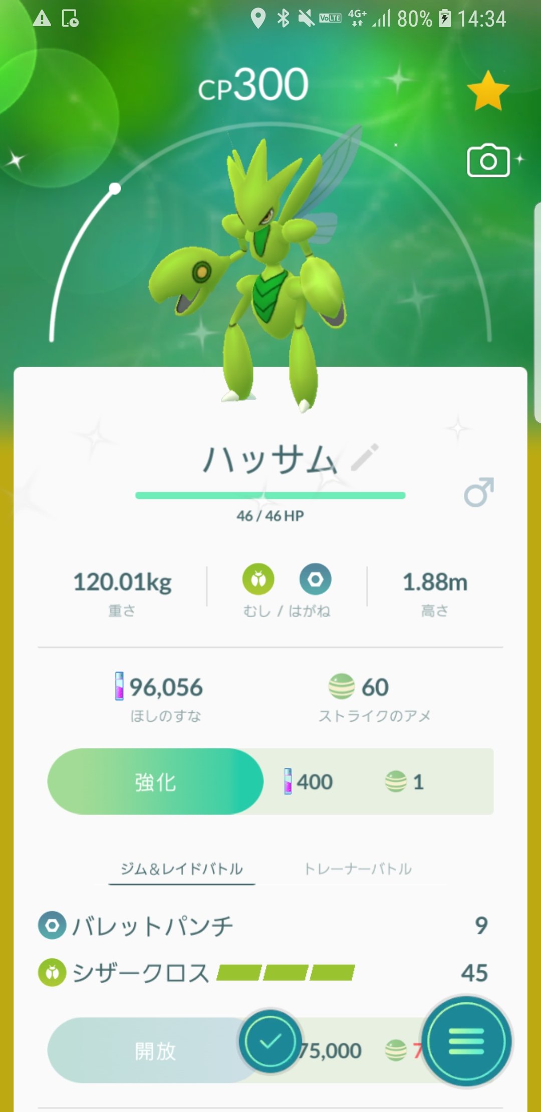 ツナ ポケモンgo Tuna8561 Twitter