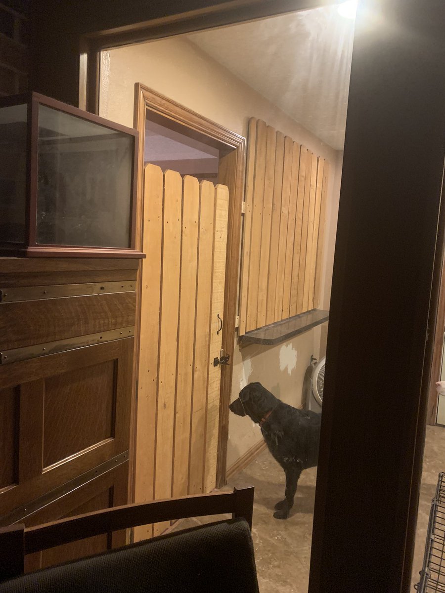 Tracey H tweet media