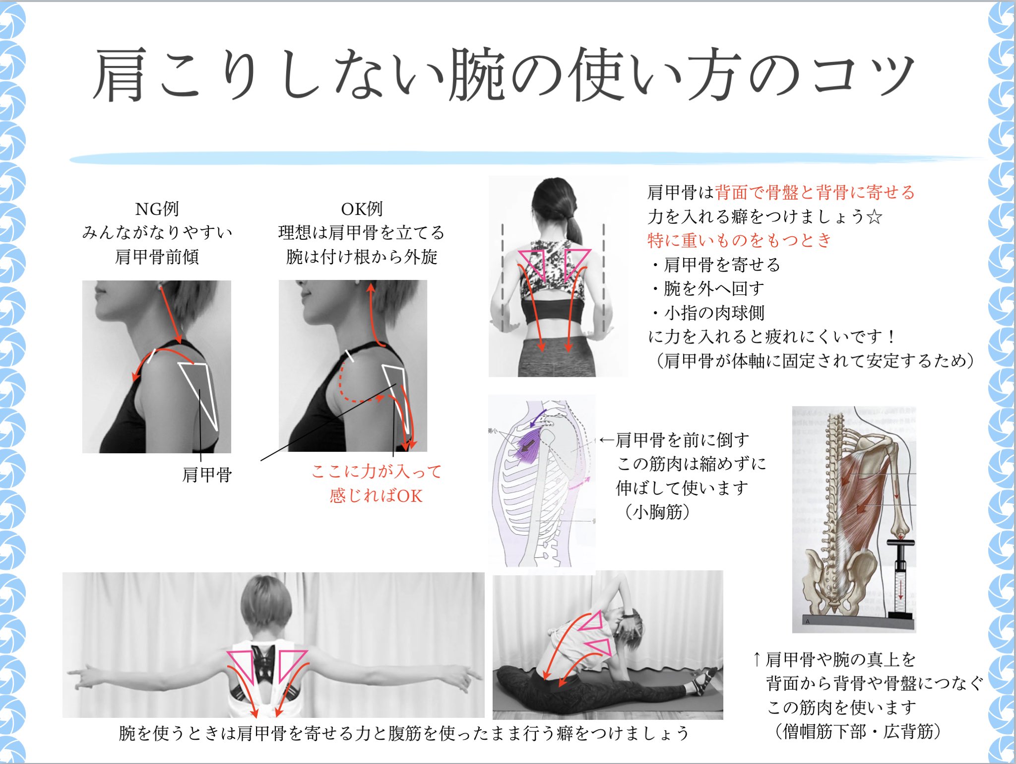 Hiromi Personal Trainer 肩こりはストレッチだけでなく 普段の肩の使い方の癖の修正も大事 肩 甲骨がずれた位置で使い続けると四十肩のリスクup 体の使い方の少しでもヒントになれば パーソナルの一部資料 Hiromi Personal Trainer 肩こりはストレッチだけでなく 普段の肩の使い方の癖の修正も大事 肩 甲骨がずれた位置で使い続けると四十肩のリスクup 体の使い方の少しでもヒントになれば パーソナルの一部資料