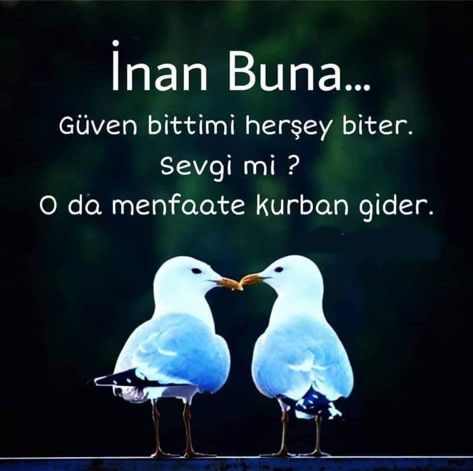 GS1905341977's tweet photo. Günaydın Dostlar Hayırlı Sabahlar Yüzünüzden Tebessüm Kalbinizden Sevgi Eksik Olmasın Sevdiklerinize Zaman Ayırın Mutlu Pazarlar ❤💛 https://t.co/r0MIL94GZb