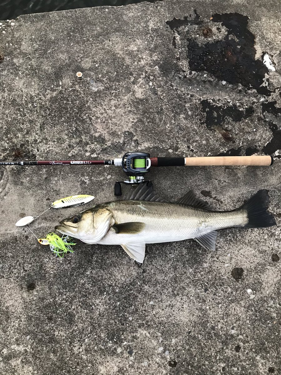 オビサン (@2nB1lmTsLDLorCN) / Posts / X