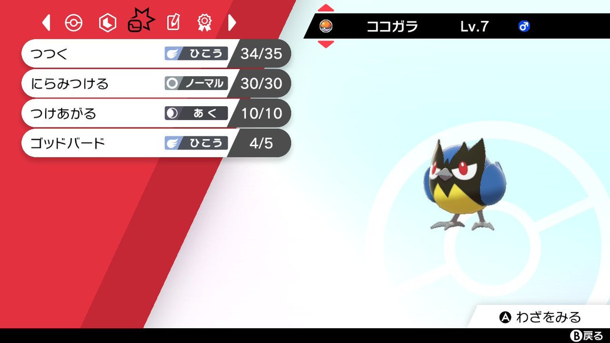 芝石ひらめ Orasとは 久々のポケモンで色々わからないでいる 芝石ひらめ Orasとは 久々のポケモンで色々わからないでいる