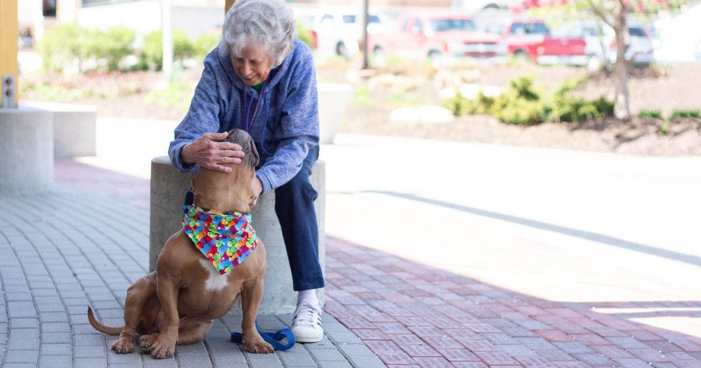 HISCdayton's tweet image. Volunteering at her local zoo and humane society has helped Beth avoid the three pitfalls of retirement: recliner, remote and refrigerator. See her in action. #PetsofHomeInstead #PetsandSeniors ift.tt/37dkUU7