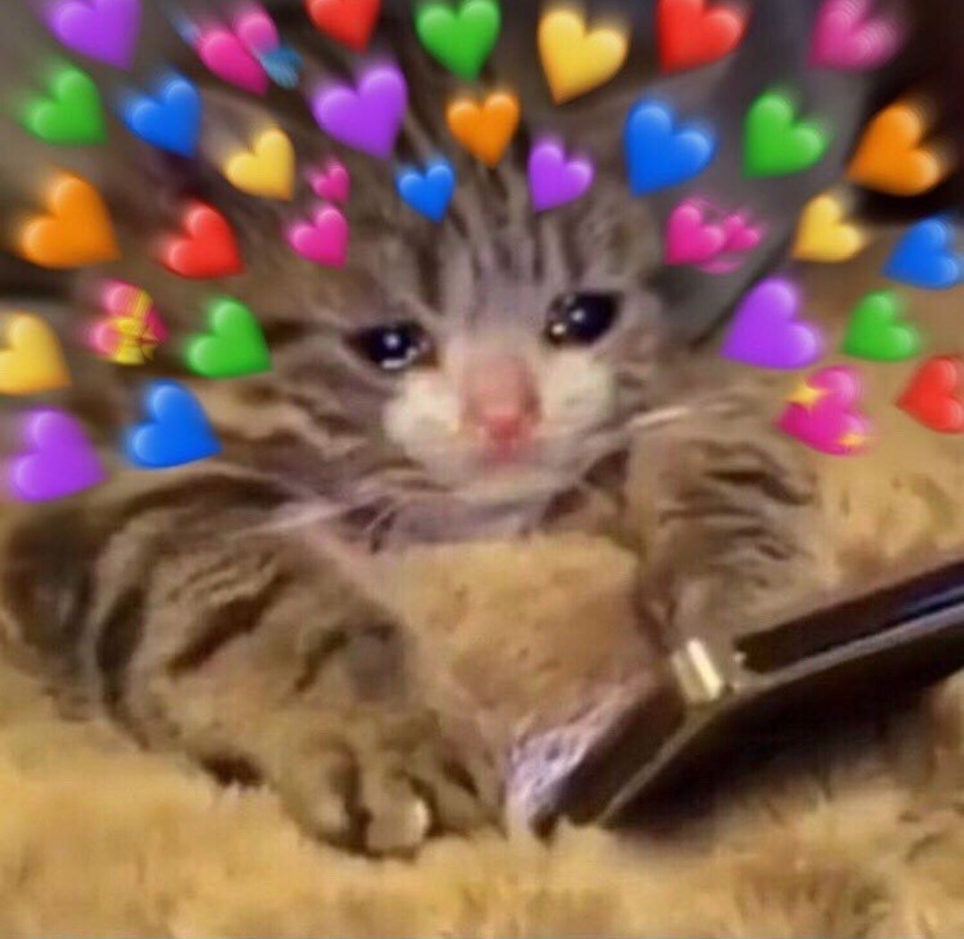 BlazedBlock's tweet image. when all the honey and bee themed Minecraft accounts start following me: