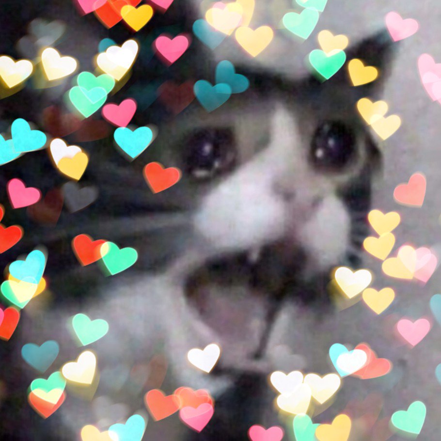 BlazedBlock's tweet image. when all the honey and bee themed Minecraft accounts start following me: