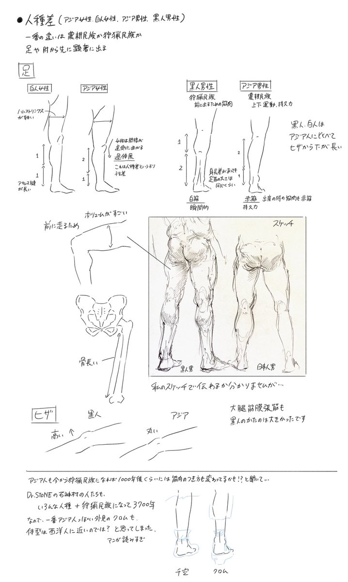 日本人女性、日本人男性、白人女性、黒人男性を比較して見られる貴重な機会があり、
聞いてメモしたことをまとめたので置いときます。
字、小さくてすみません…! 