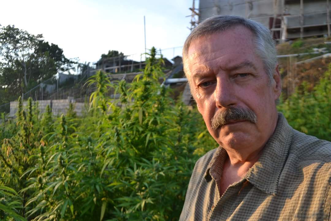 Yo <a href="/joerogan/">Joe Rogan</a> - this message sent with his blessing. Are you aware that Phil Hartmann's brother Paul just finished his first legal harvest of medical cannabis in Jamaica? You gotta have him on the show and he'd love to do an interview. There's a lot more to the story  <a href="/PowerfulJRE/">Powerful JRE</a>