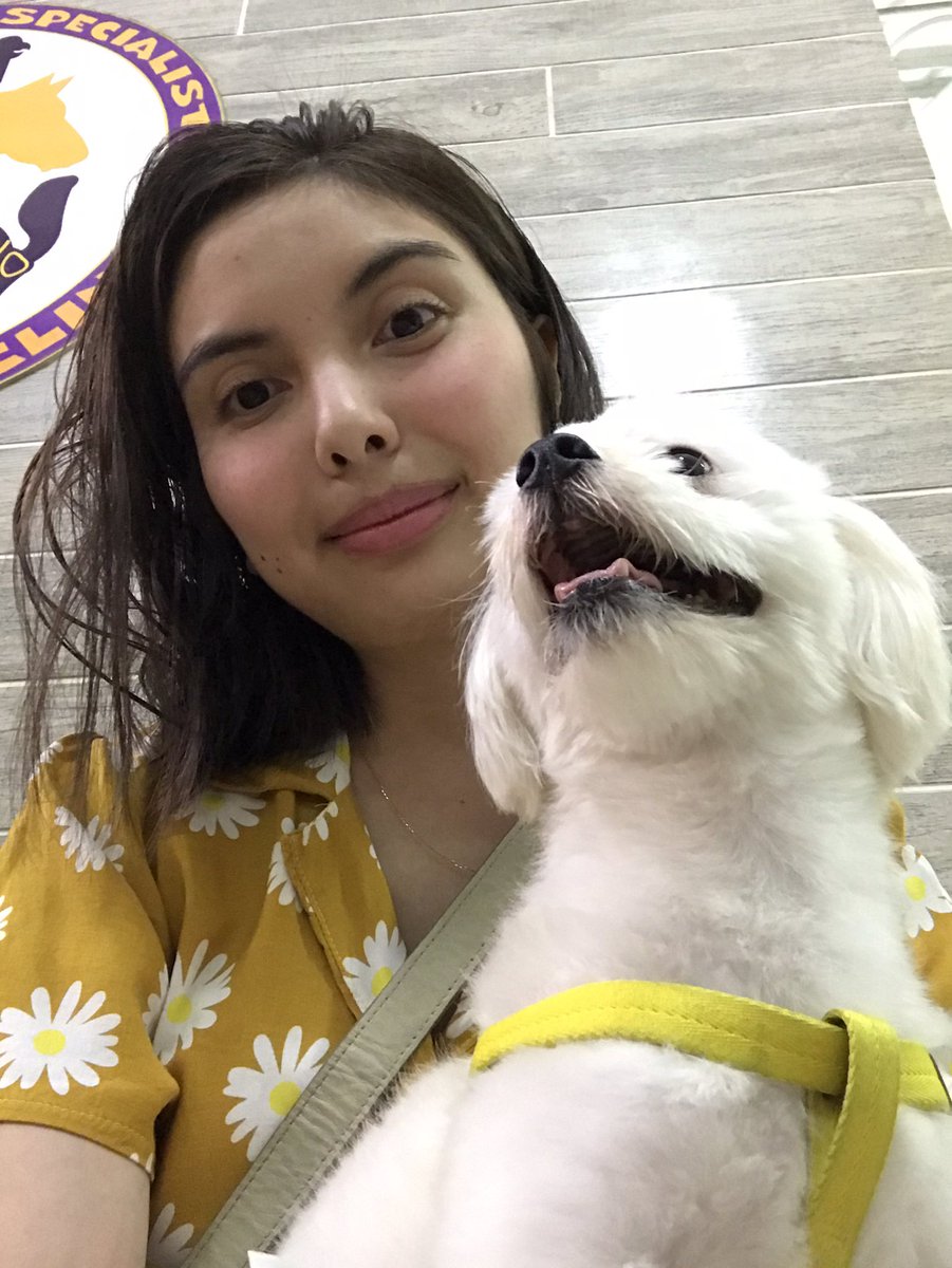 _steadymich's tweet image. Vet Day for the baby pococo! 🤩