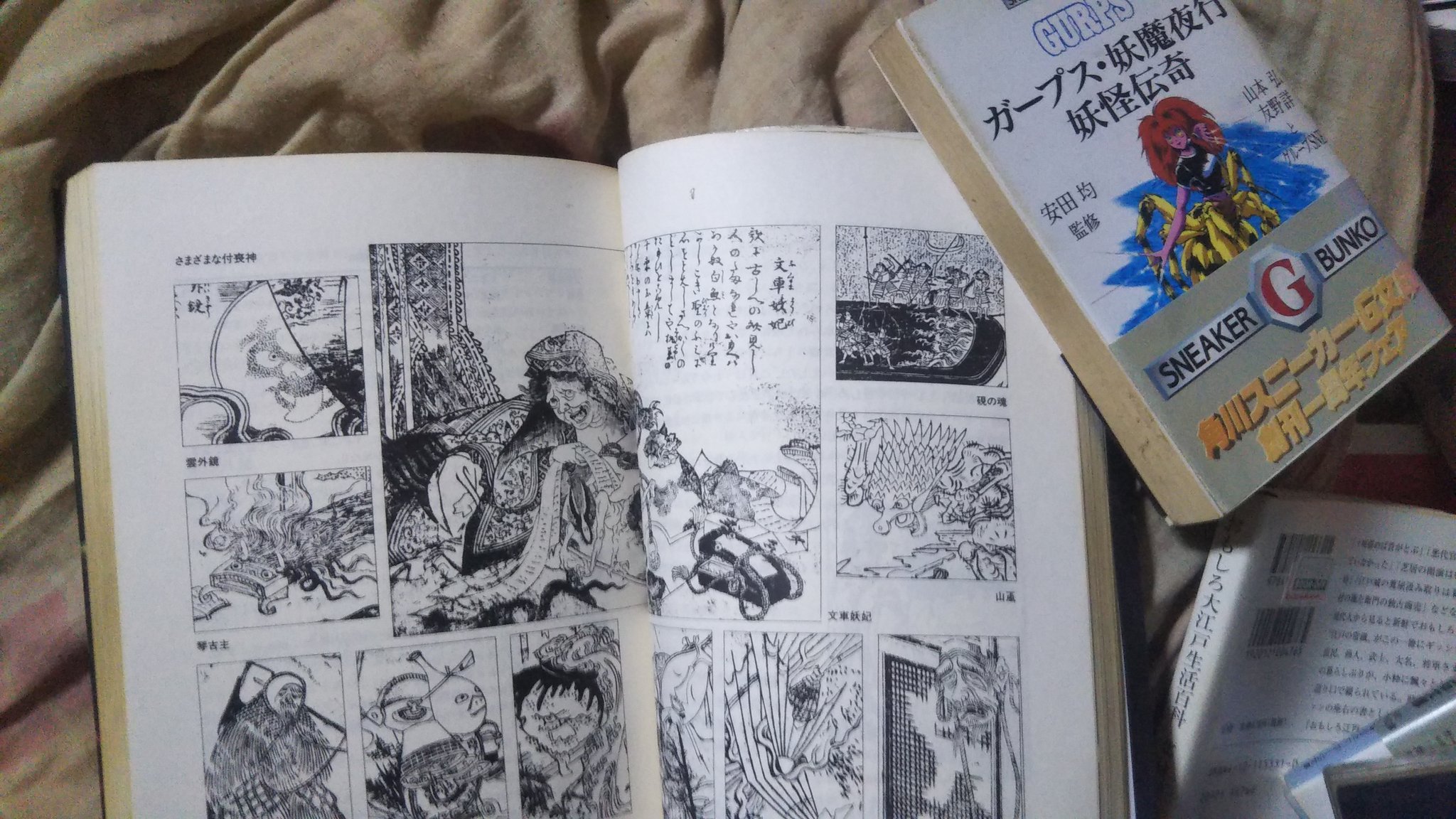かざん 3 4万人の国民的インフルエンサー 悟リ人 Toshino Bakeinu カヤノ さん これは 更に 私は お恥ずかしい所 を お見せしてしまいました 鳥山石燕 先生の 百器徒然袋 だったとは 新紀元社 幻想世界の住人たち 日本編 を 所有しつつの