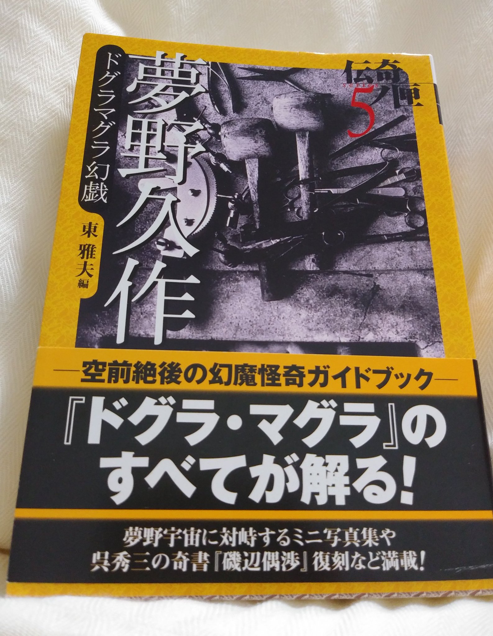 夢野久作 ドグラマグラ 幻戯 - 文学/小説