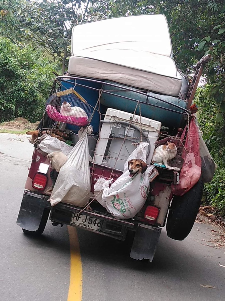 ขอบคุณที่ไม่ทิ้งกัน