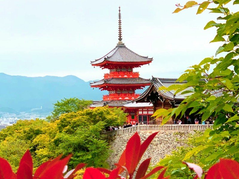 cafecnoticias's tweet photo. #Viagem Japão é um país encantador, cheio de contrastes, cores e sabores surpreendentes. Saiba mais: https://t.co/zEruBtuwAD 🥰✈️🧳👒🍱🎆💖
#FabulososDestinos #PartiuViagem #TerraDoSolNascente https://t.co/oktwjTjrZu