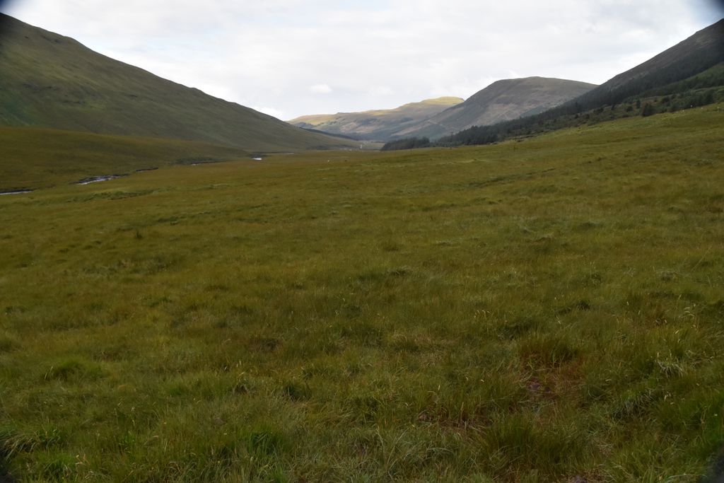 RamblerIntrepid (@ramblerintrepid) on Twitter photo 