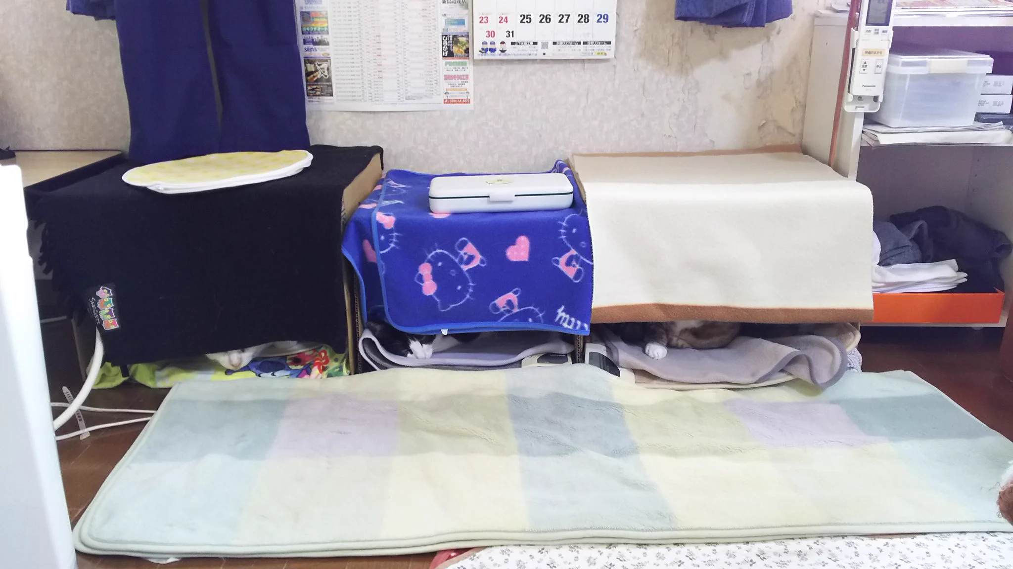 @aru9a3 @_Rapa_ 見習って欲しいです 